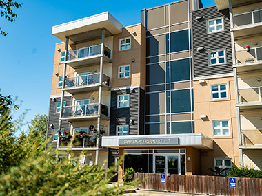 800 Dovercourt