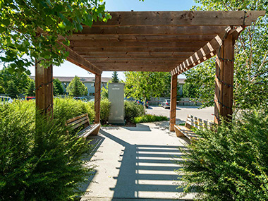 800 Dovercourt